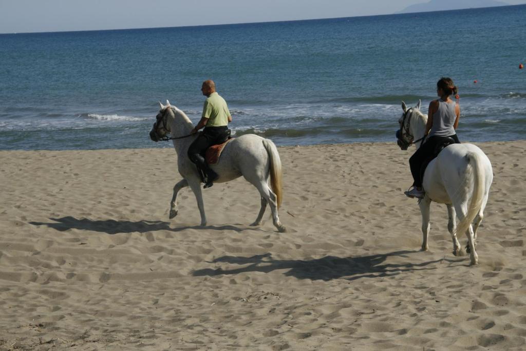 Camping Maremma Sans Souci Hotel Кастильоне дела Пеская Екстериор снимка